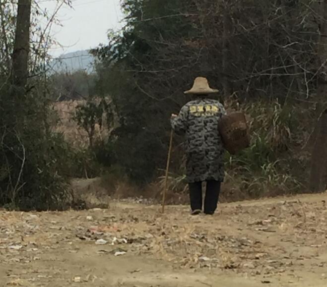 有没有靠谱的安逸花套出来（如何套出安逸花）