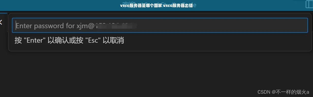 vsco服务器是哪个国家 vsco服务器出错