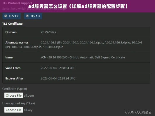 ad服务器怎么设置（详解ad服务器的配置步骤）