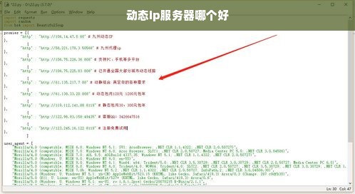 动态ip服务器哪个好
