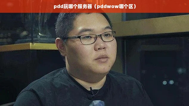 pdd玩哪个服务器（pddwow哪个区）