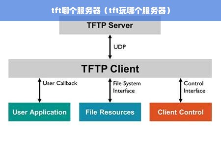 tft哪个服务器（tft玩哪个服务器）