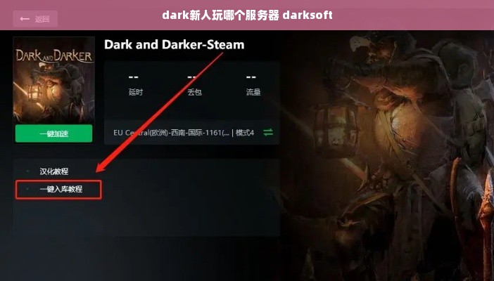 dark新人玩哪个服务器 darksoft