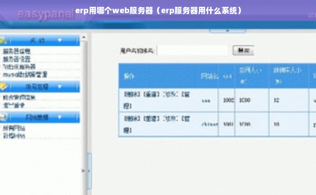 erp用哪个web服务器（erp服务器用什么系统）