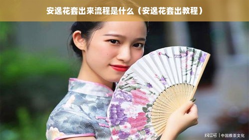 安逸花套出来流程是什么（安逸花套出教程）