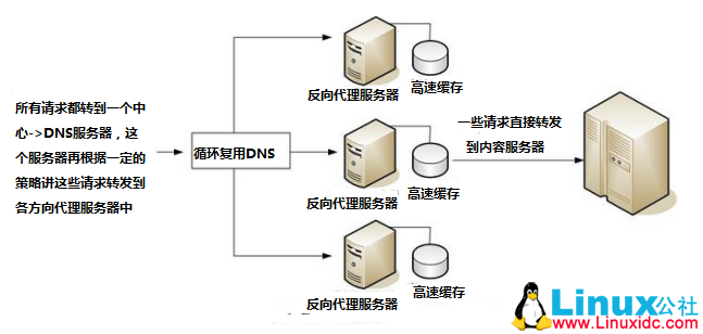 派克斯是播到哪个服务器，探讨数字世界的运行原理