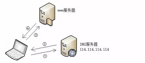 揭秘网络世界，哪个是连接服务器的IP?