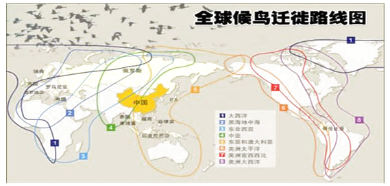 探索金山的服务器，地理位置及其全球影响力