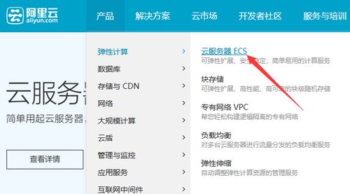 一篇详尽指南如何为您的网店选择最适合的云服务器