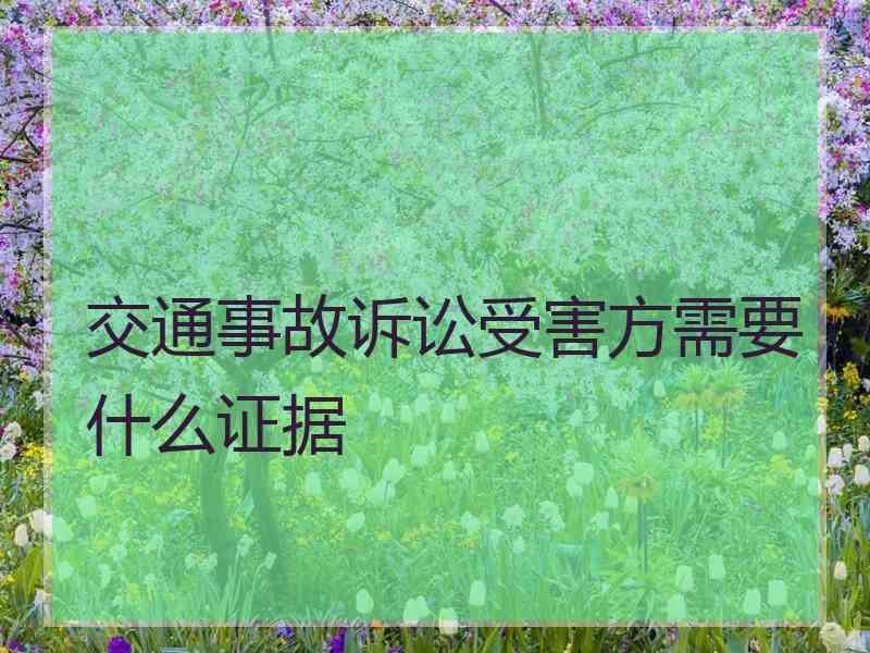 交通肇事打官司费用谁付 