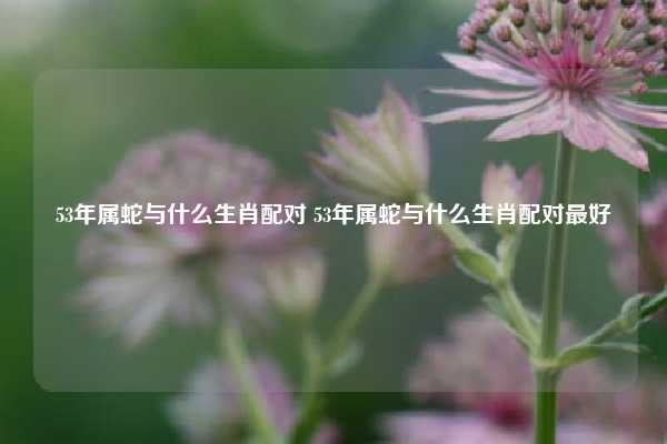 53年属蛇与什么生肖配对 53年属蛇与什么生肖配对最好