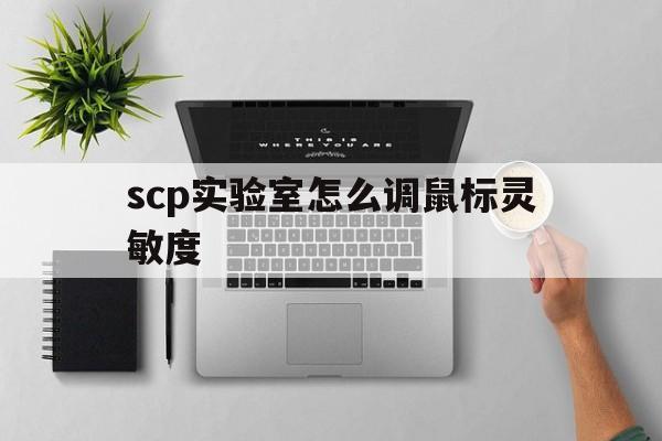 scp实验室怎么调鼠标灵敏度 