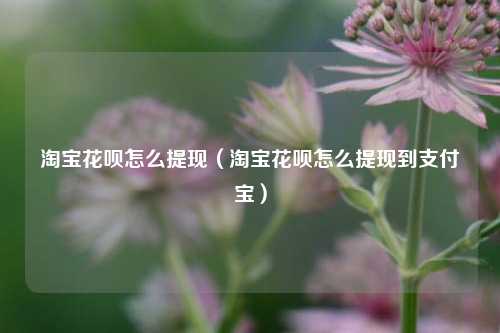 淘宝花呗怎么提现（淘宝花呗怎么提现到支付宝）