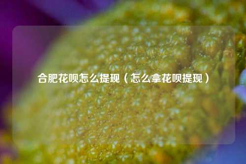 合肥花呗怎么提现（怎么拿花呗提现）