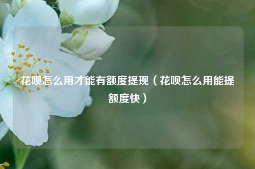 花呗怎么用才能有额度提现（花呗怎么用能提额度快）