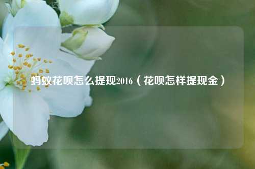 蚂蚁花呗怎么提现2016（花呗怎样提现金）