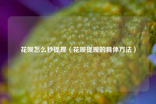 花呗怎么秒提现（花呗提现的具体方法）